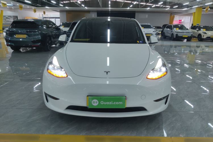 Used Tesla Model Y 2023 High-Performance All-Wheel-Drive Version