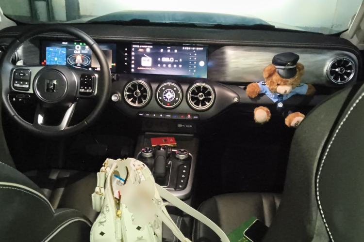 Used Tank 300 2024 2.0T Conqueror