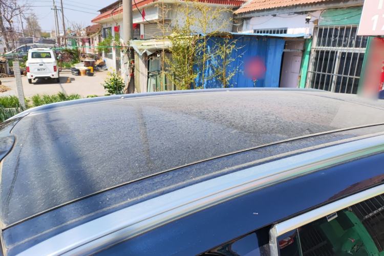 Used Wey Lanshan 2025 Four-Wheel Drive Max Roof