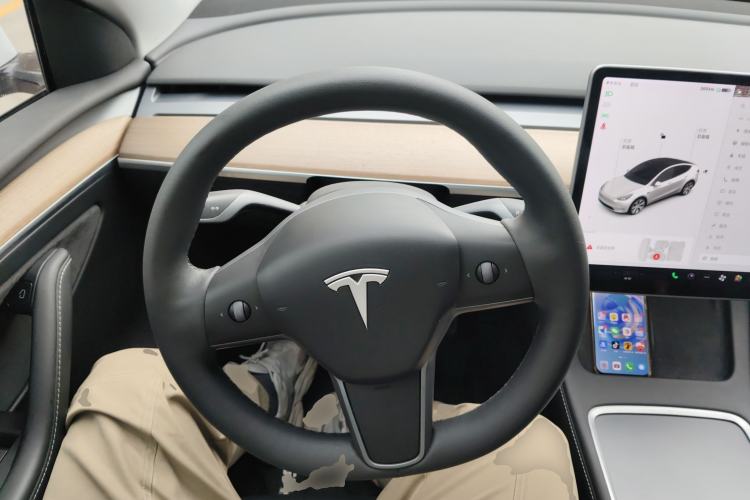 Used Tesla Model Y 2021 Standard Range Rear-Wheel Drive Version
