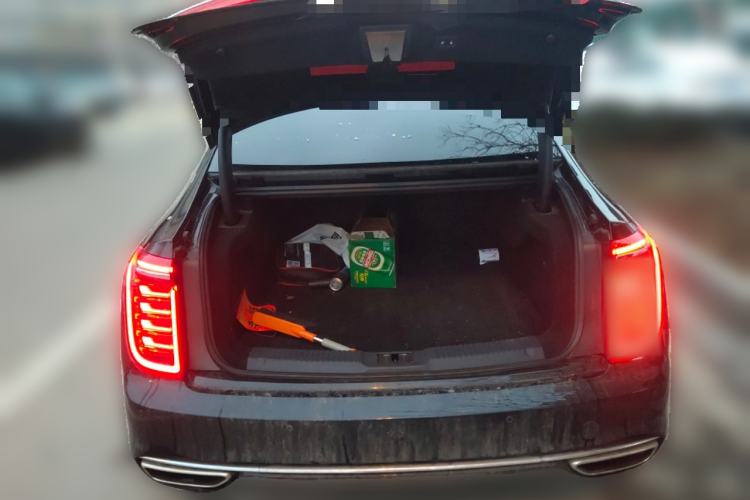 Used Hongqi H9 2022 2.0T Smart Connect Flagship Edition
