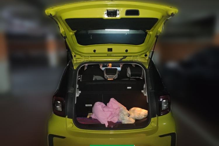 Used SOL E10X 2022 Flower Fairy Design Four-Leaf Clover