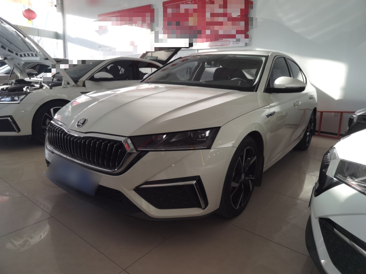 تحت مقدمة السيارة