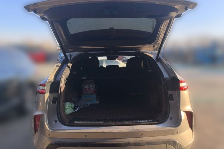 Used Wey Mocha New Energy 2024 Hi4 Four-Wheel Drive Long-Range Version Trunk