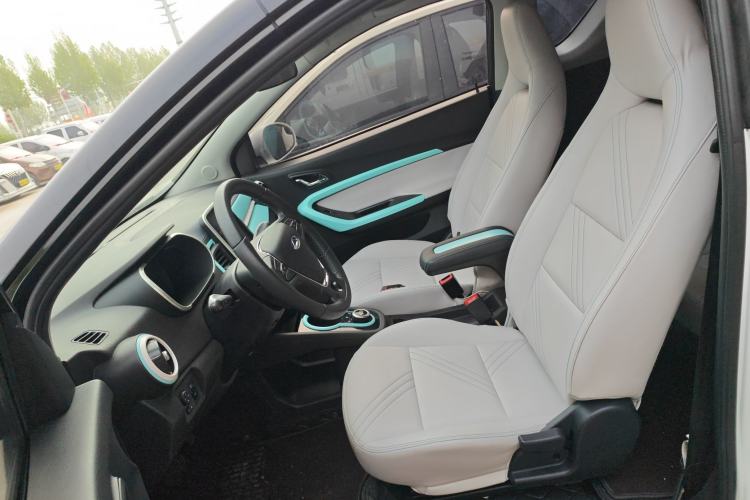 Used Chery QQ Little Ant 2021 200 000-Yuan Ant Fan Edition Talent Version Lithium Iron Phosphate 301 km Left Front Seat