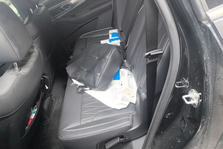 Used GAC Trumpchi GS8 2025 Linghang Series 2.0 TGDI Two-Wheel-Drive Luxury Edition 5 Seats