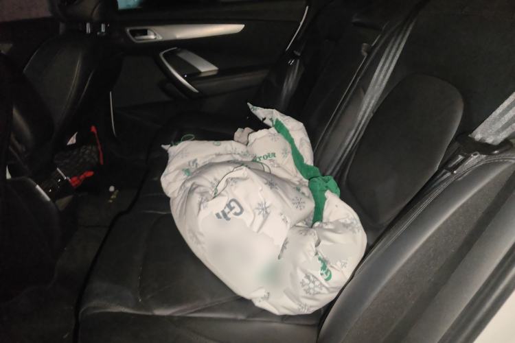 Used DS 5LS 2016 1.6T Luxury Edition THP160 Left Rear Seat