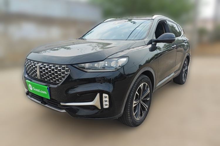 Used Wey VV6 2021 2.0T Two-Wheel Drive Smart Protection+