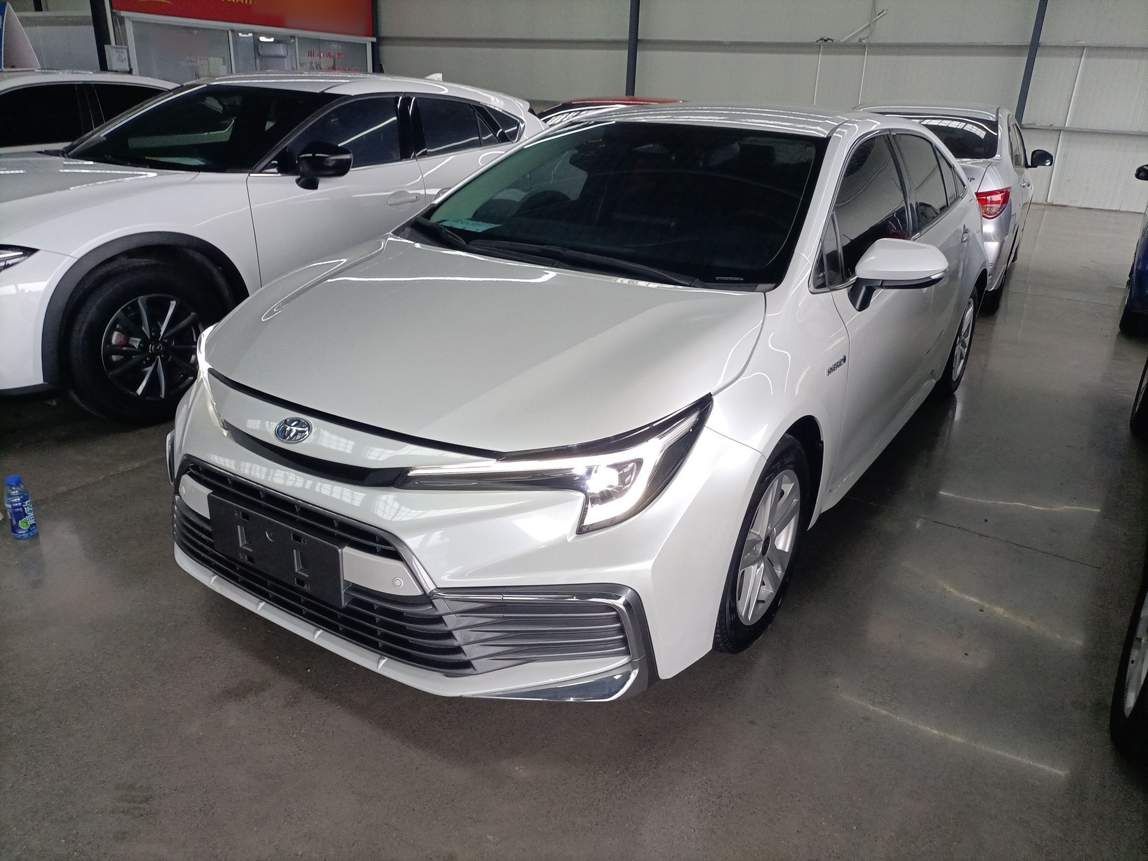 Parte inferior delantera