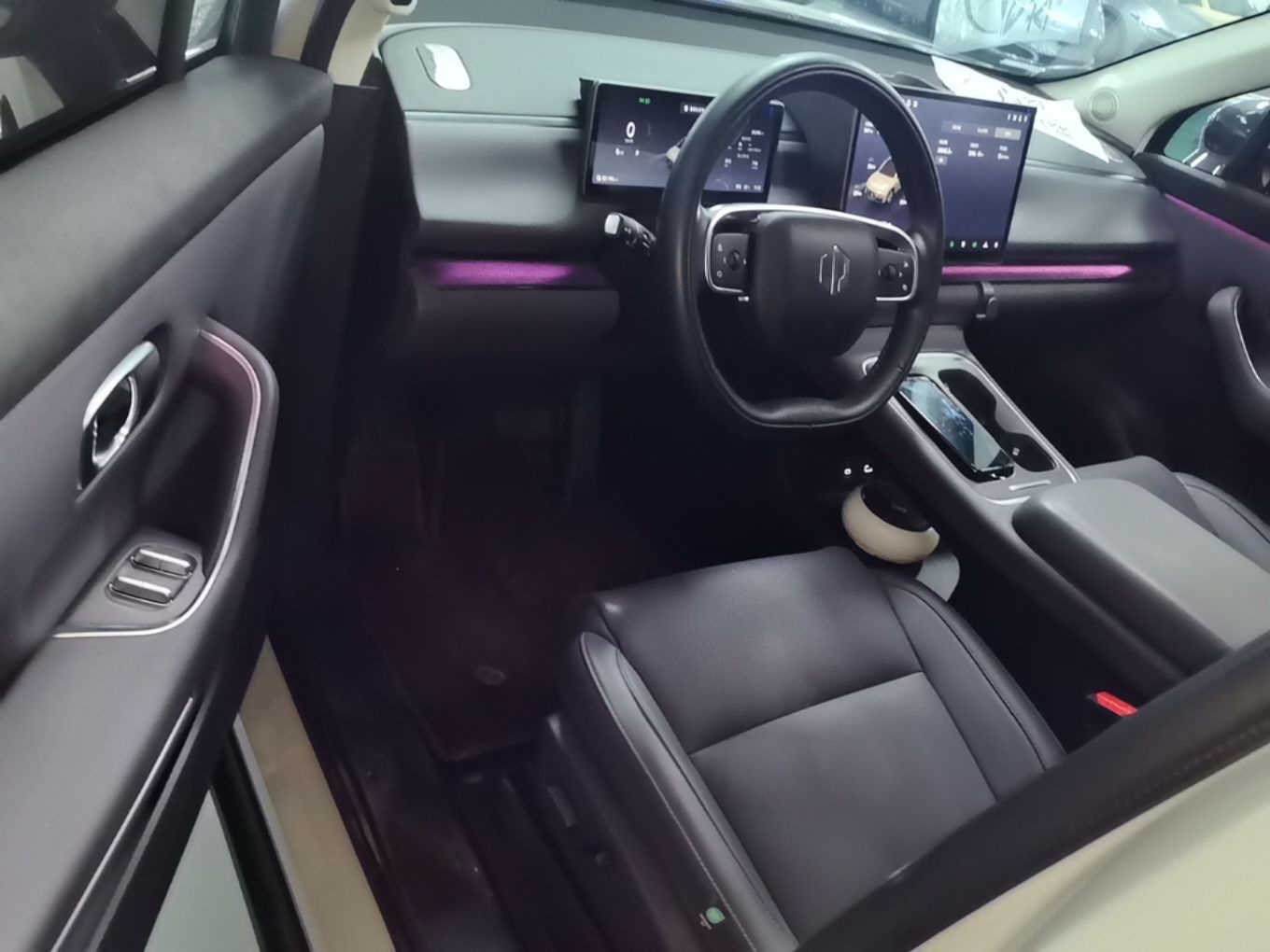 Interior delantero