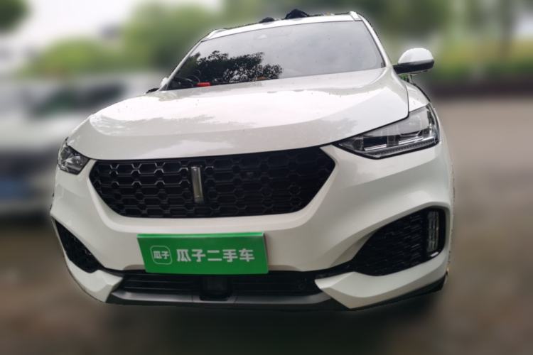 Used Wey VV6 2019 2.0T Two-Wheel-Drive Ultra-Luxury Version China VI Standard Front