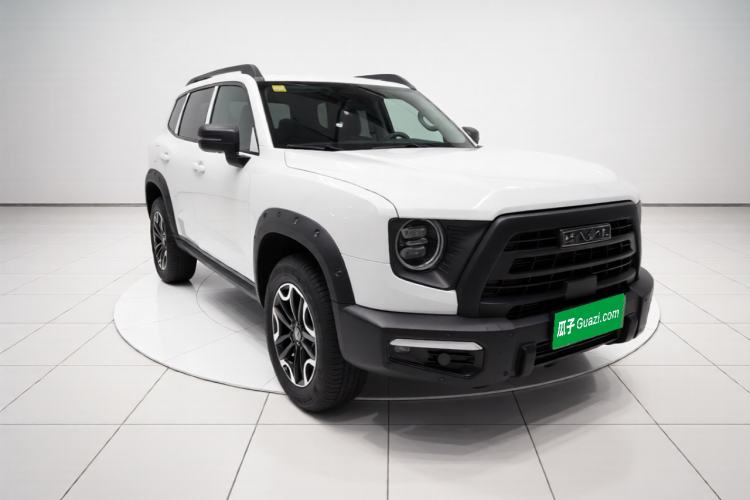 Used Haval DARGO 2024 2.0T DCT Chinese Rural Dog Edition Front Right 45 Deg