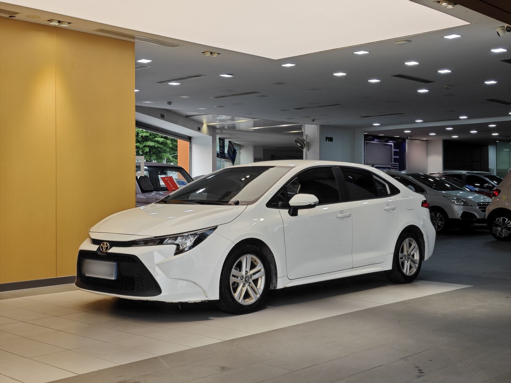 Parte inferior delantera