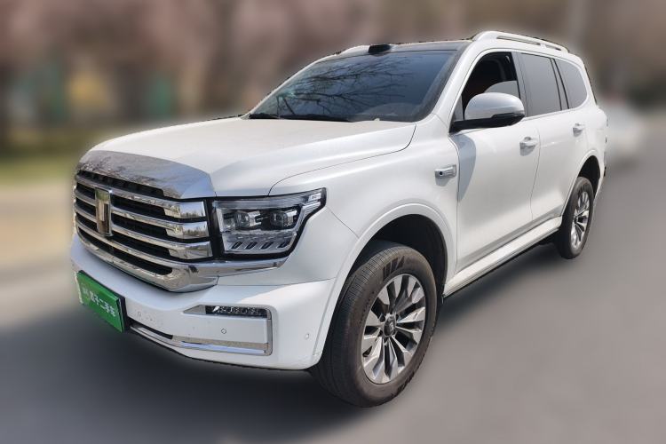 Used Tank 500 New Energy 2026 Model—Hi4-T Smart Enjoyment Version