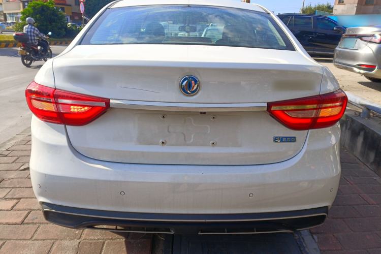 Used FORTHING S50 2021 Luxury Model