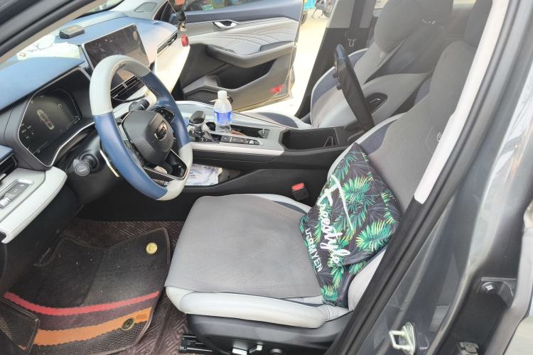 Used Geely Auto Preface 2021 2.0TD Flagship Edition Left Front Seat