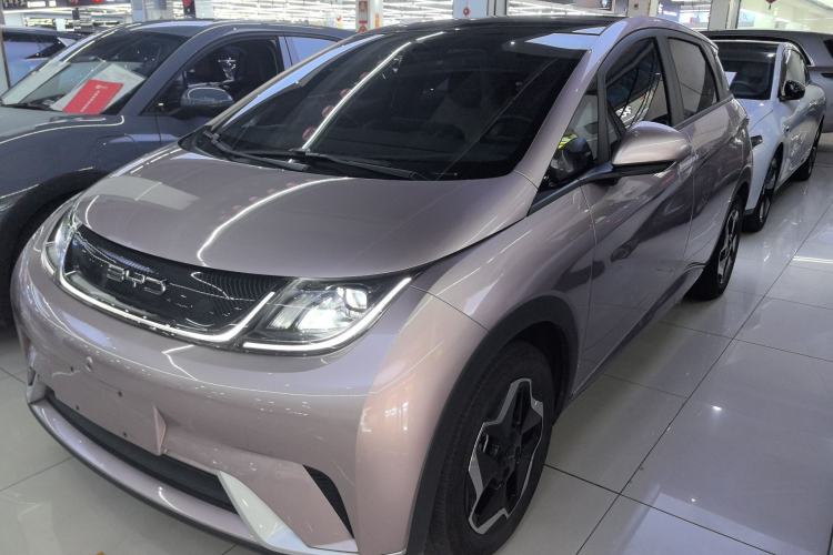 Used BYD Dolphin 2021 405 km Free Version