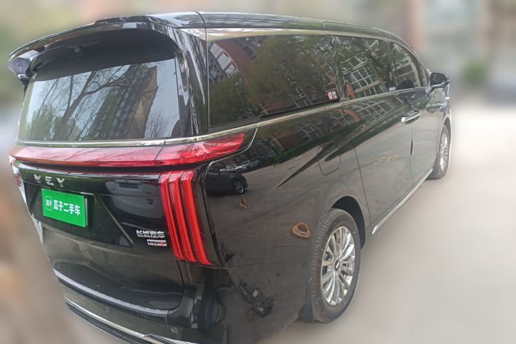 Used Wey Gaoshan 2025 Four-Wheel Drive Alpine 8 Rear Right 45 Deg