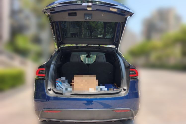 Used Tesla Model X 2017 X 100D Long Range Edition
