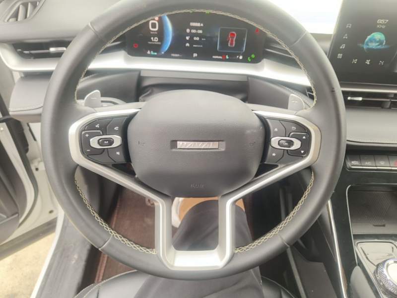 Used Haval H6 2021 3rd Generation 1.5T Automatic Two-Wheel Drive Max — 10