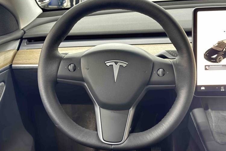 Used Tesla Model Y 2021 Standard Range Rear-Wheel Drive Version
