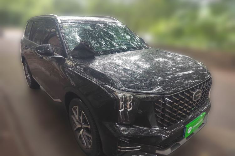 Used GAC Trumpchi GS8 2024 Linghang Series 2.0 TGDI Two-Wheel Drive Luxury Smart Connectivity Version
