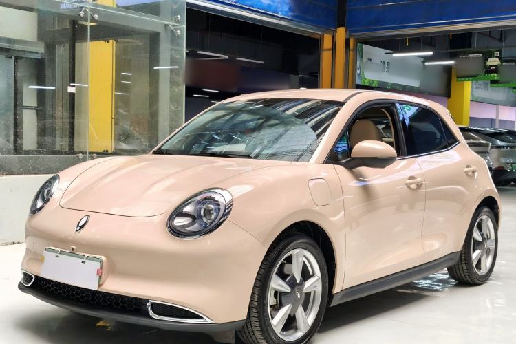 Used ORA Good Cat 2023 401 km Standard Range Luxury Version Lithium Iron Phosphate