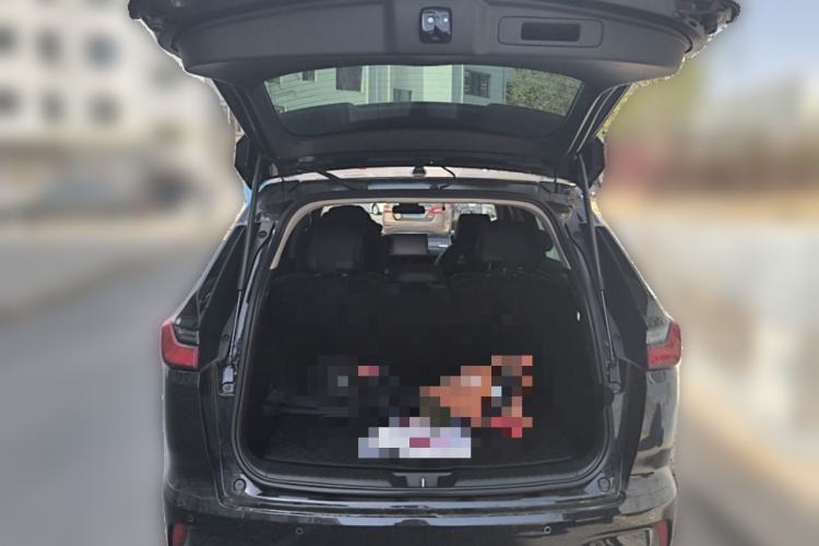 Used Honda Breeze 2025 240TURBO Two-Wheel-Drive Luxury Edition 5 Seats