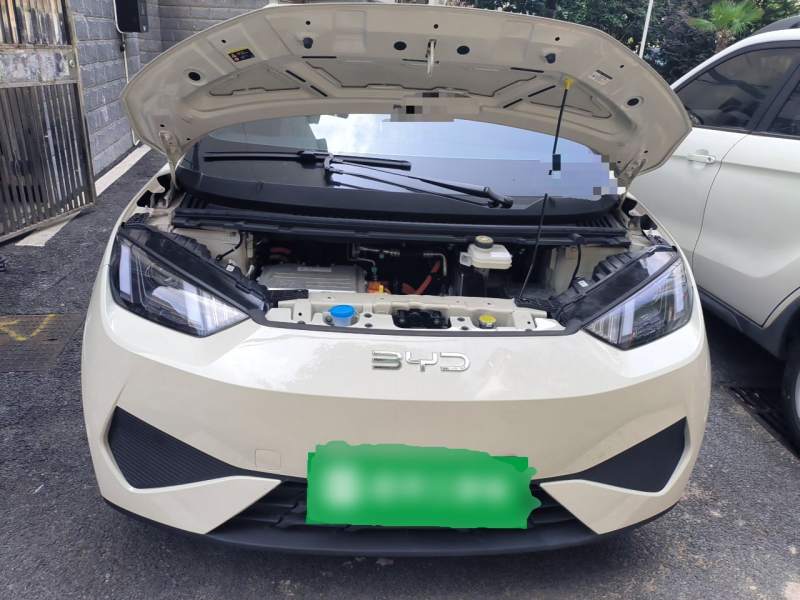 Used BYD Seagull 2025 Intelligent Driving Version 305 km Dynamic Edition — 16