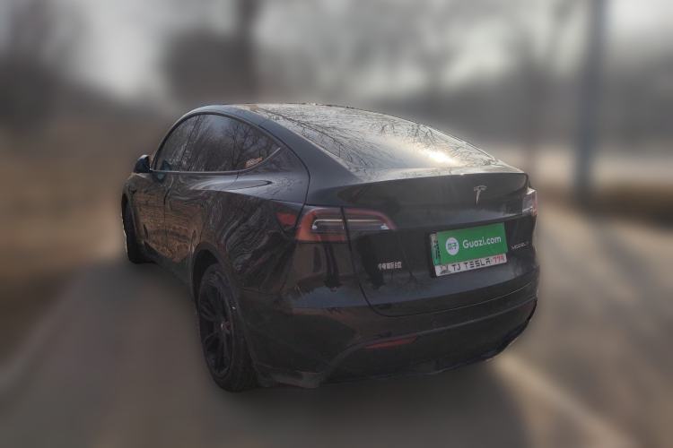 Used Tesla Model Y 2021 Long-Range All-Wheel-Drive Version 3D7
