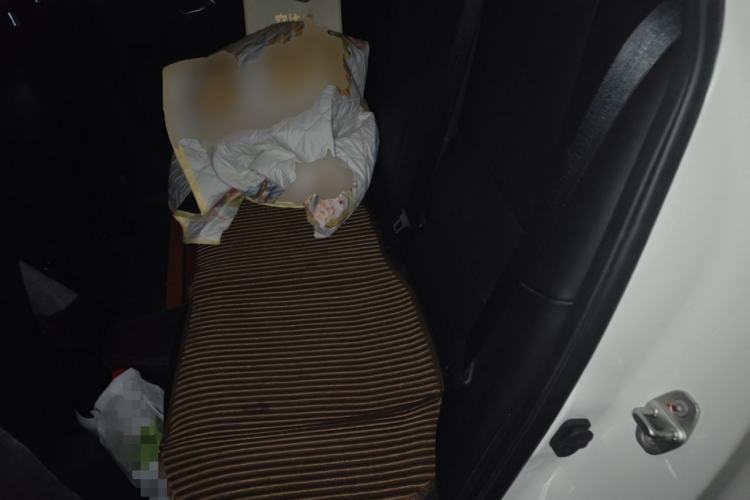 Used Nissan Sylphy 2022 1.6L XL CVT Enjoyment Edition Left Rear Seat