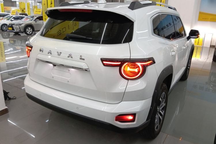 Used Haval H Dog 2023 2.0T Two-Wheel Drive Chaoye Version Plus