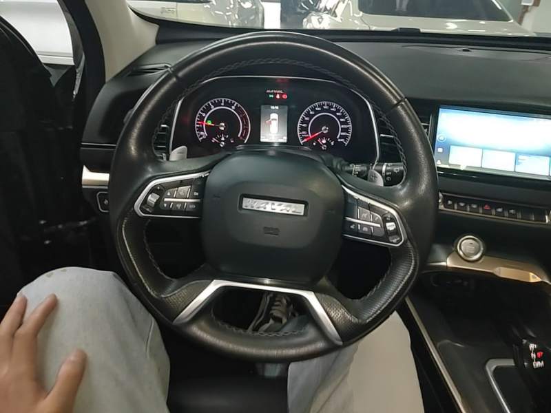 Used Haval H6 2021 1.5T Automatic Champion Edition — 10