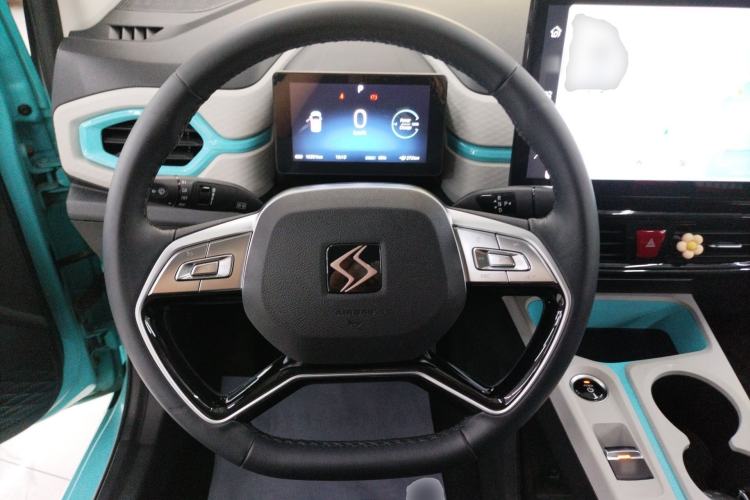 Used SOL E10X 2022 Flower Fairy Style Baby's Breath
