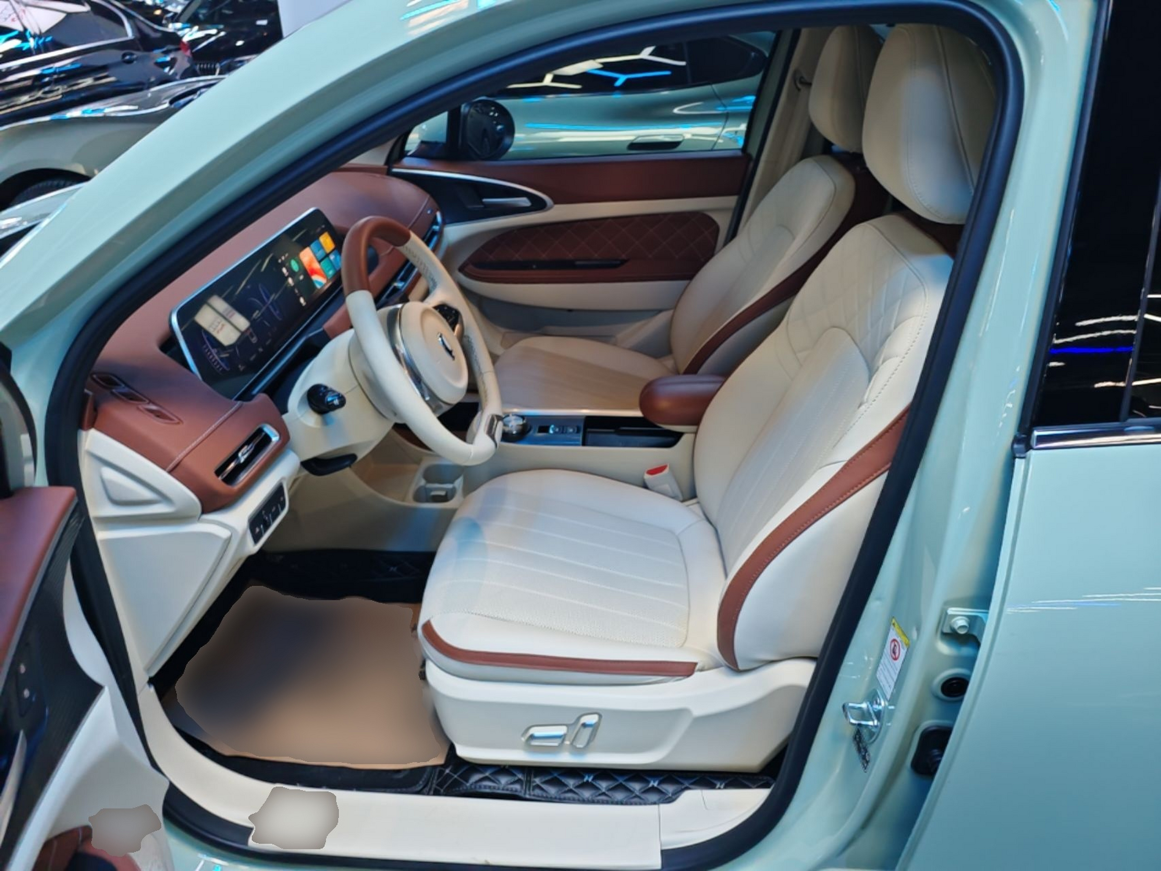Interior delantero
