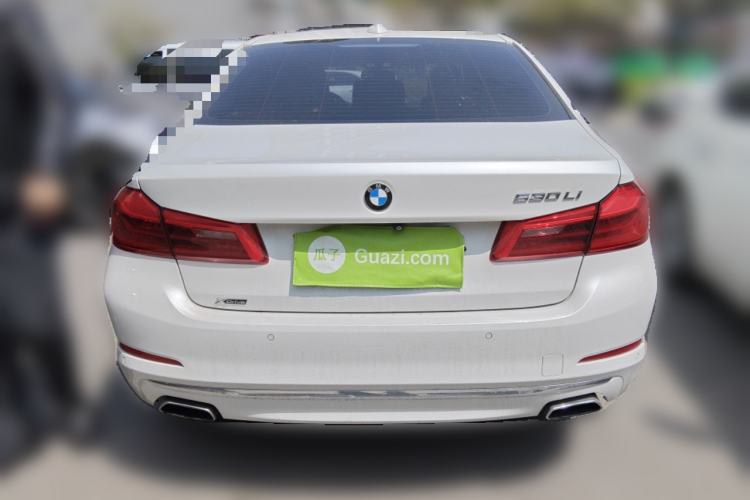 Used BMW 5 Series 2018 530Li xDrive Luxury Package Rear