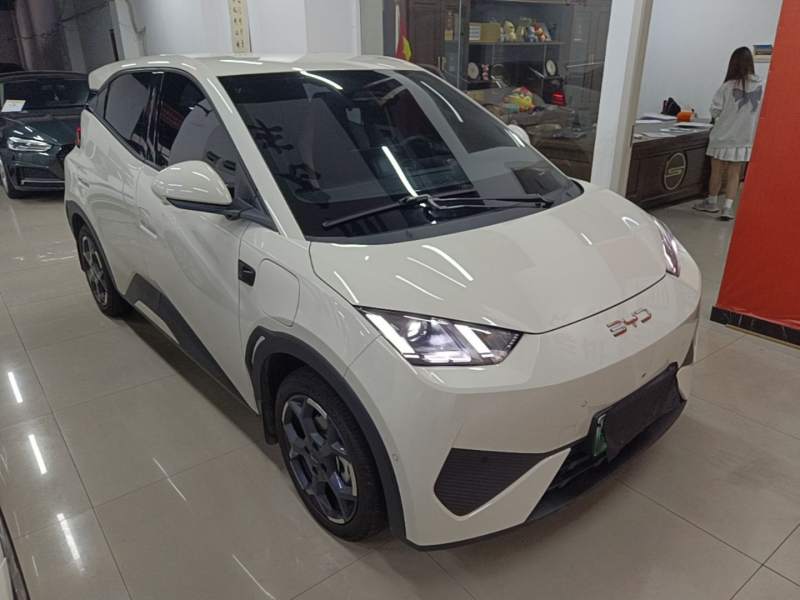 Used BYD Seagull 2023 Free Edition — 3