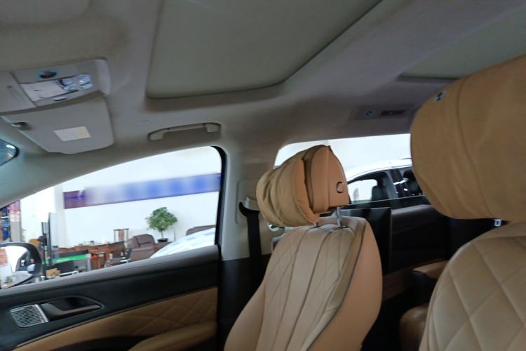 Used Denza D9 2022 DM-i 970 Four-Wheel Drive Flagship Model Headliner