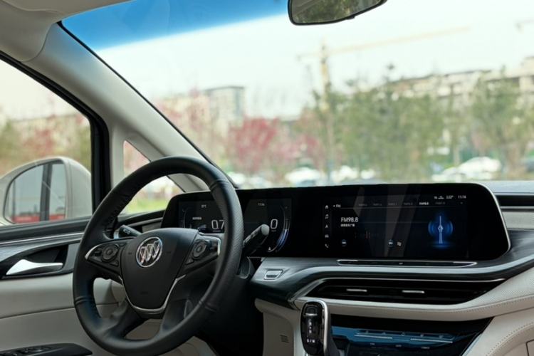 Used Buick GL8 2021 ES Landtrek 653T Comfort Edition Interior 3