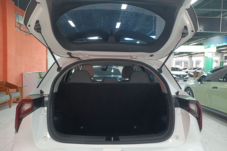 Used Geometry E Firefly 2024 301km Flowing Light