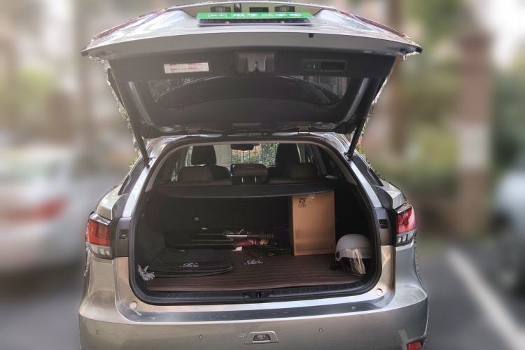 Used Lexus RX 2020 300 4x4 Elegant Edition China VI
