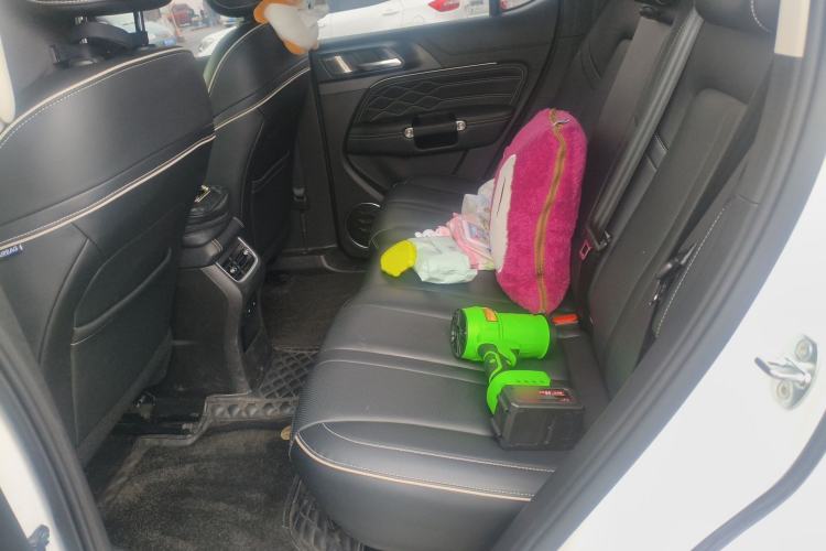 Used Tank 300 2024 2.0T Conqueror Left Rear Seat