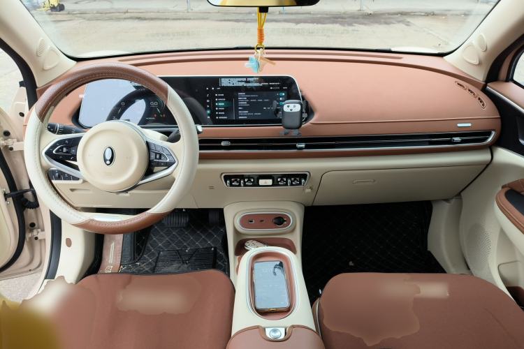 Used ORA Good Cat 2024 401 km Luxury Version Center Console