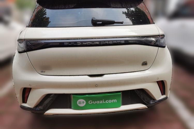 Used BYD Dolphin 2023 420 km Fashion Edition Rear