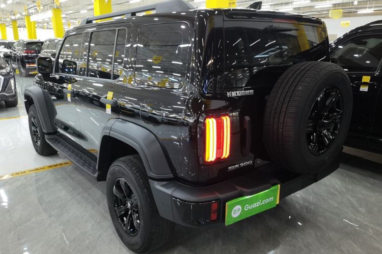 Used Tank 300 2025 2.0T Conqueror