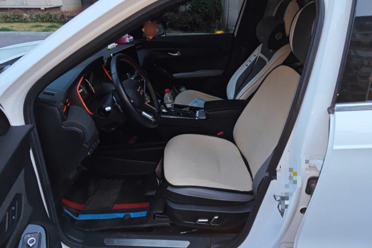 Used Haval LHERY 2021 High-Performance Version 1.5T Golden Rabbit Left Front Seat