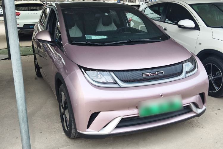 Used BYD Dolphin 2023 420 km Fashion Edition Exterior 1