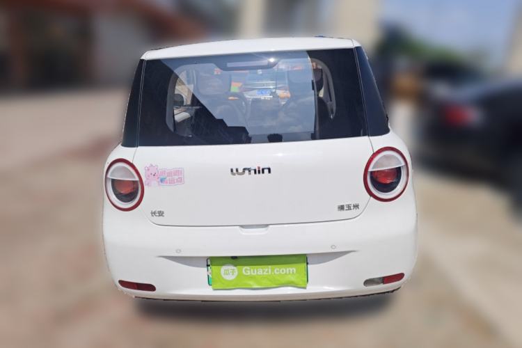 Used Qiyuan Lumin 2023 205km Xiangqin Version