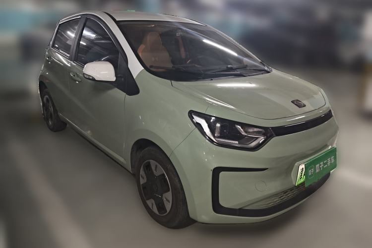 Used SOL E10X 2022 Flower Fairy Design Four-Leaf Clover