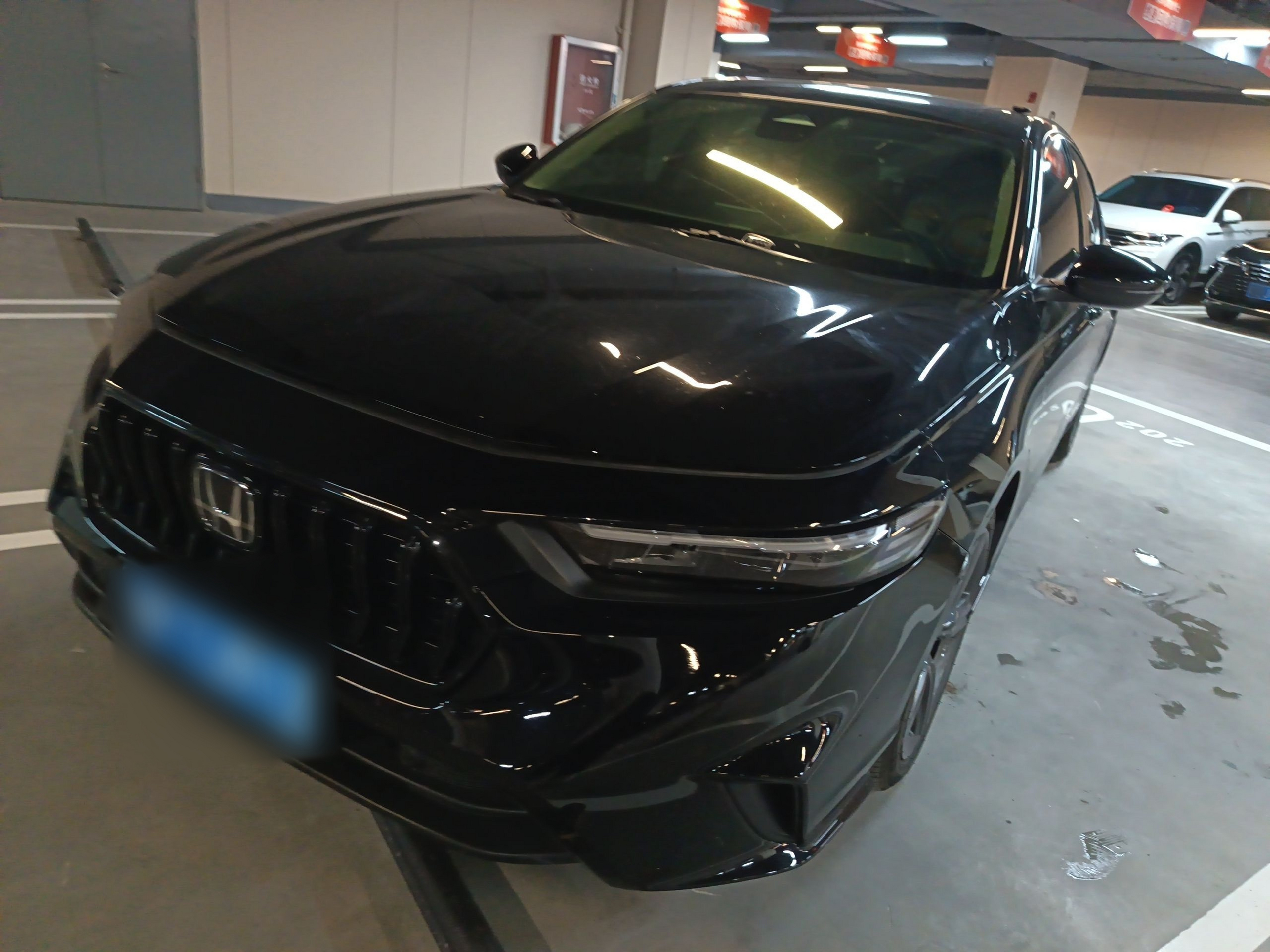 Parte inferior delantera